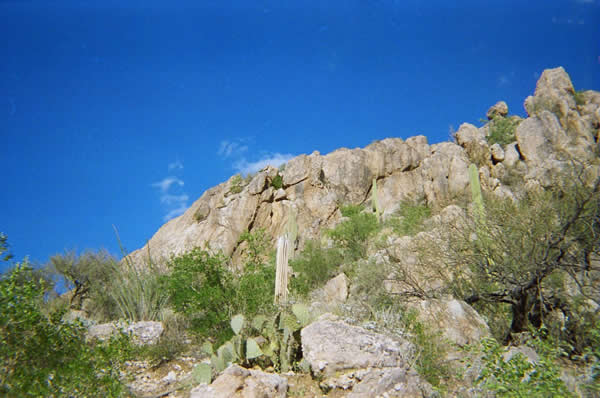 Mountain Top